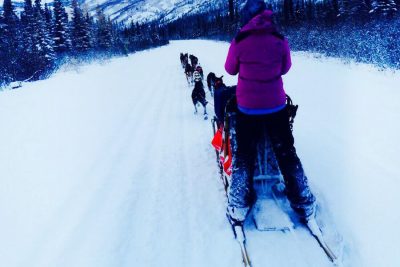 How Shaynee Traska Side Hustled Her Way to Her Dogsledding Dream