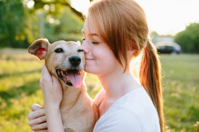 How Much Does It Cost to Adopt a Dog?