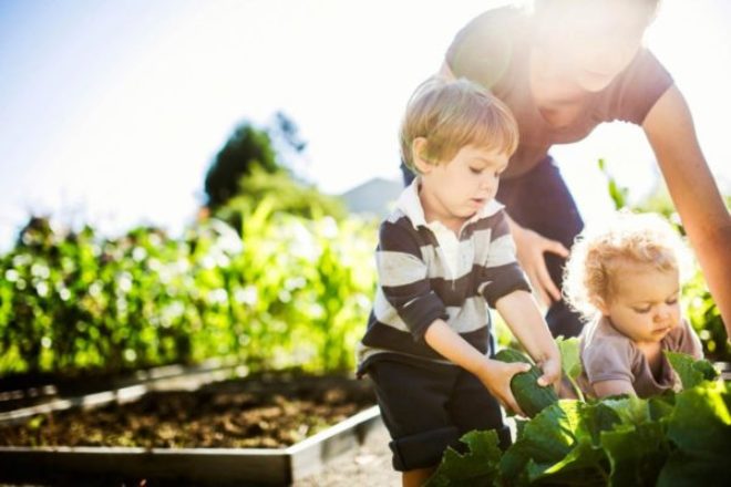 My Baby Steps to Becoming a Successful Entrepreneur