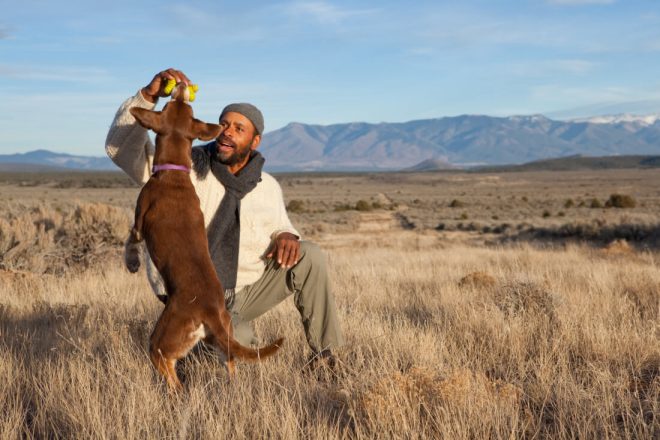 Is It Really Cheaper Not to Spay or Neuter Your Pet?