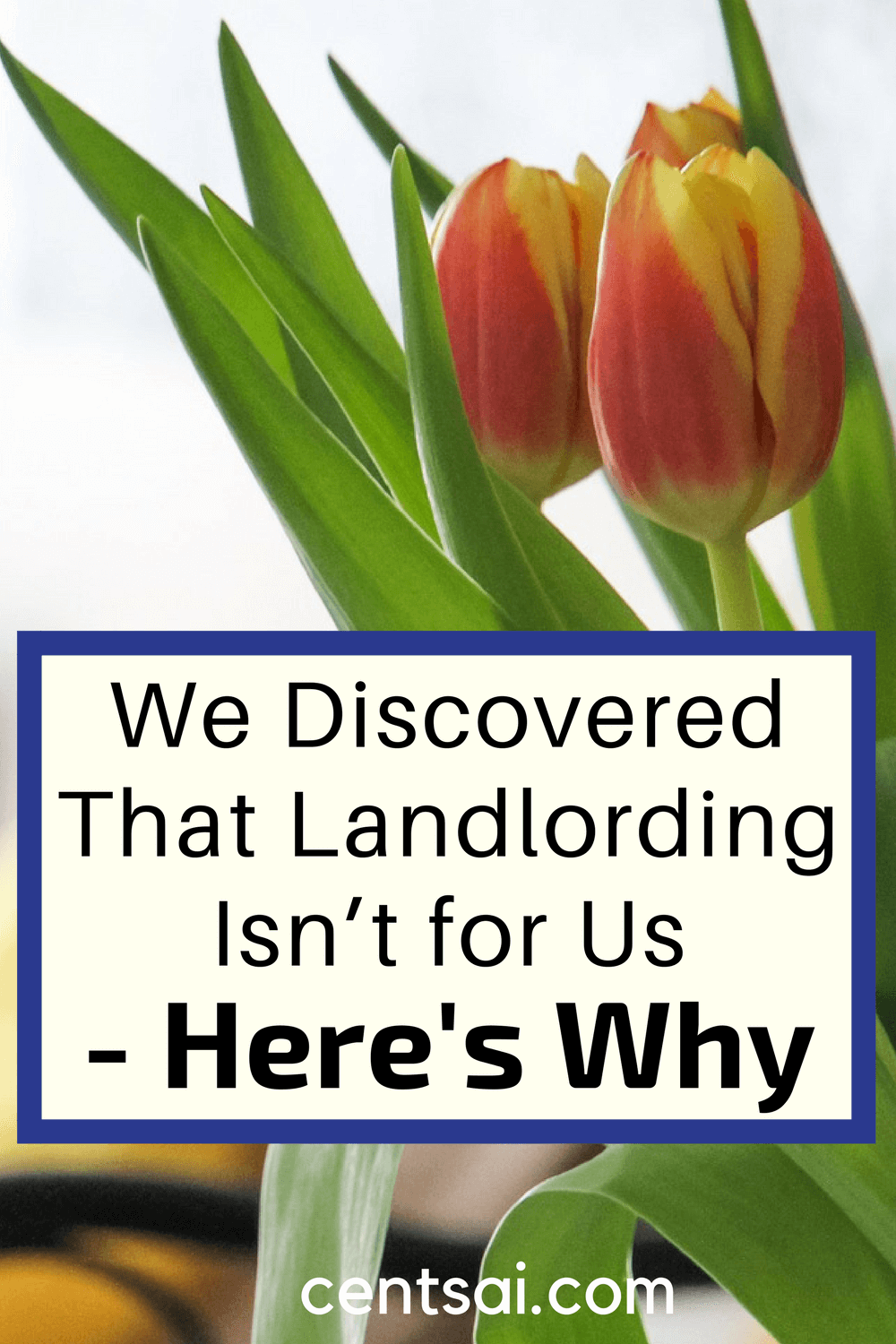 We Discovered That Landlording Isn’t for Us – Here’s Why. Landlording just isn't for everybody. We discovered the hard way that owning rental real estate isn't as easy as people make it out to be.