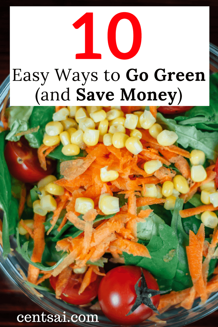 10 Easy Ways to Go Green (and Save Money). For Arbor Day, don't just plant a tree – go green! It’s a win-win: save the planet while adding steadily to your savings.