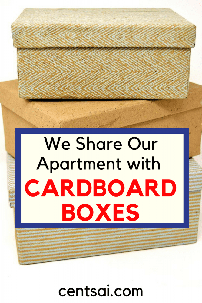 We Share Our Apartment with Cardboard Boxes. Moving from a house to an apartment can be difficult, but it's often necessary when you move to a more expensive area.