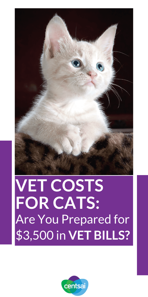 Vet costs for cats (and other pets) can add up quickly. Make sure you're prepared for them before you dive into pet ownership. Find out more and be financially prepared for pet costs. #financialliteracy #CentSai #petcosts #vetbills #petcosts