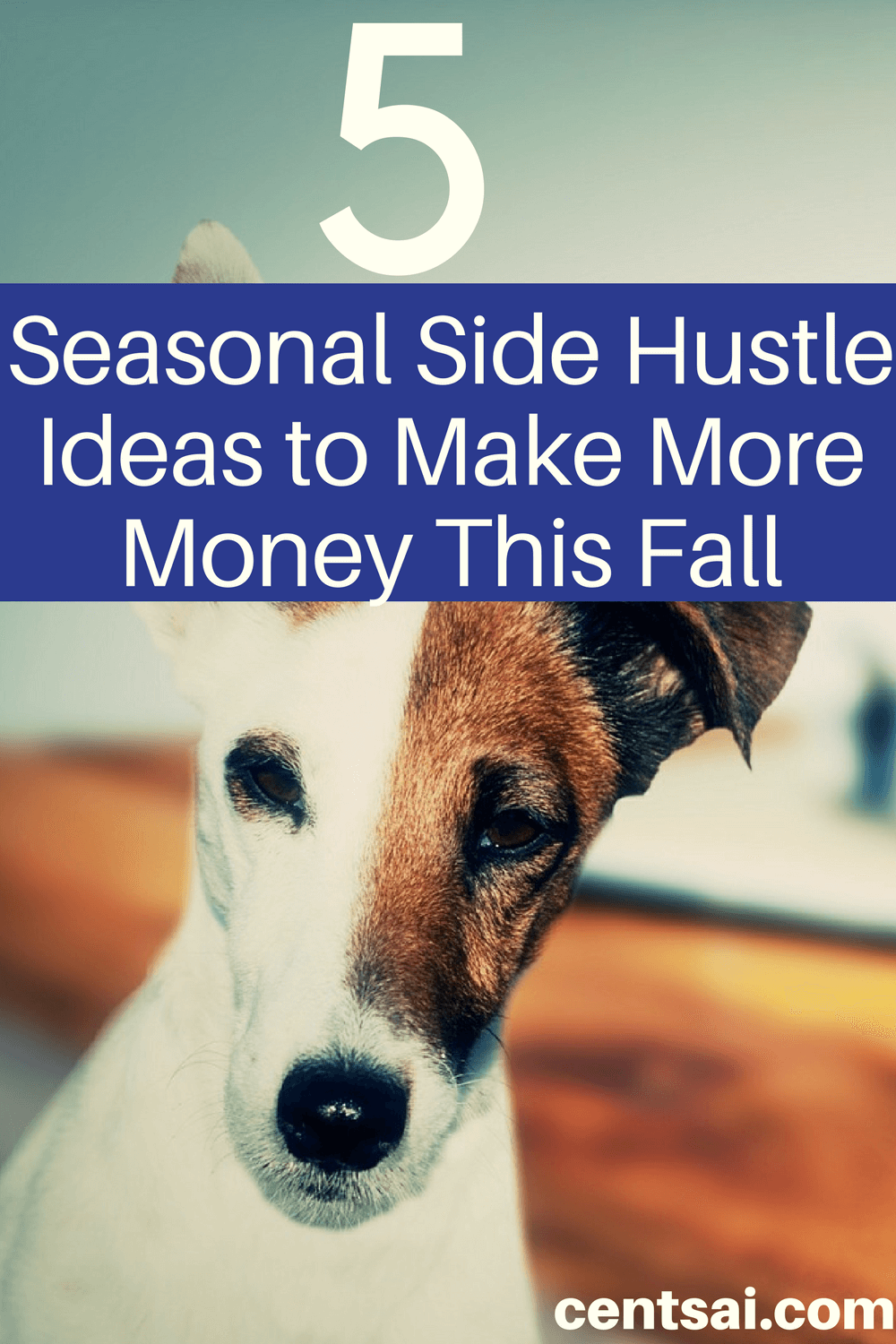 Whether you need money for college or gifts, a good side hustle can beef up your savings. Why not try one of these fall side hustle ideas?