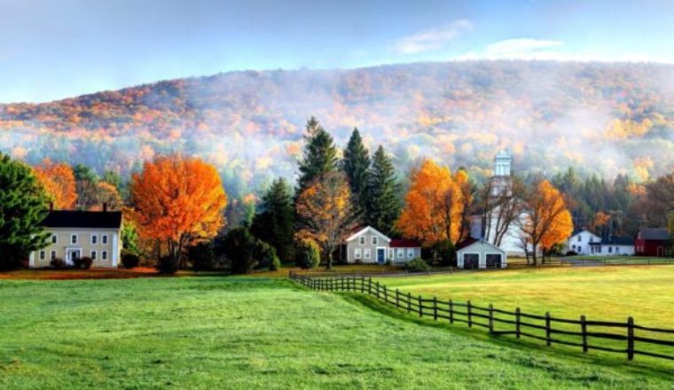 Forestry Consulting 101: How to Run a Successful Business in a Rural Area