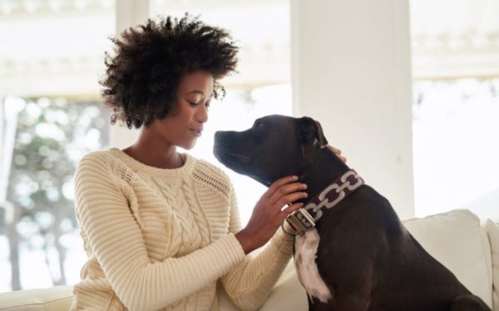 Pet Emergency Fund: How to Prepare for the Worst