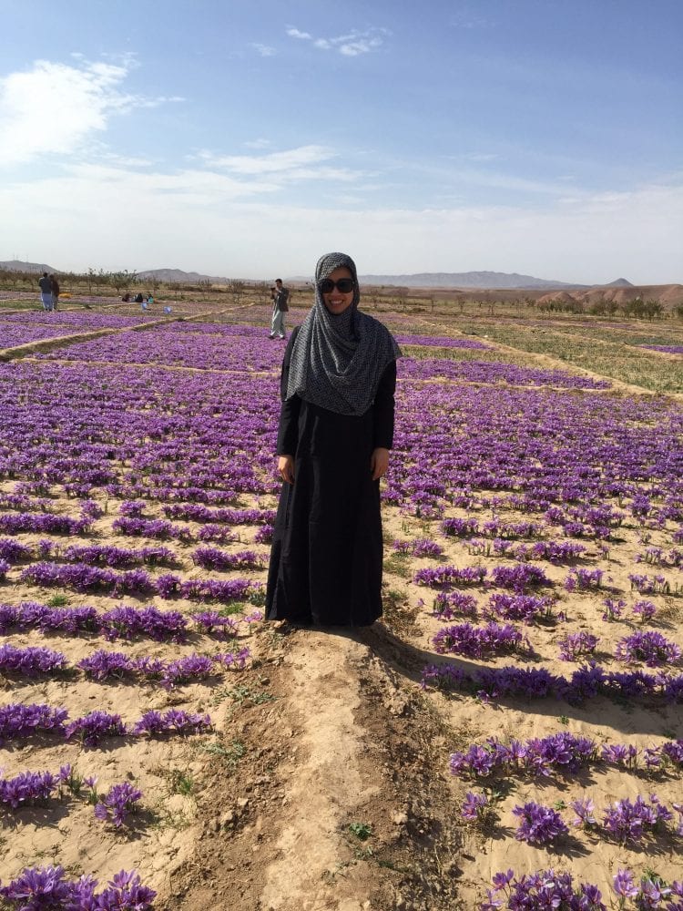 Woman in saffron fields