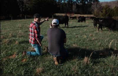 Jonathan Willis talks to farmer | how to start a food business