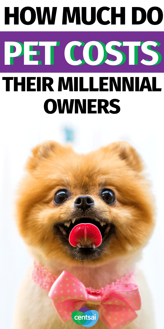 These 20-Somethings Spend Crazy Money on Their Pet'Babies'. Millennials are spending serious money on their fur babies, is it? Find out why... #CentSai #crazymoneysaving #spendcrazymoney #furbaby millennialslifestyle