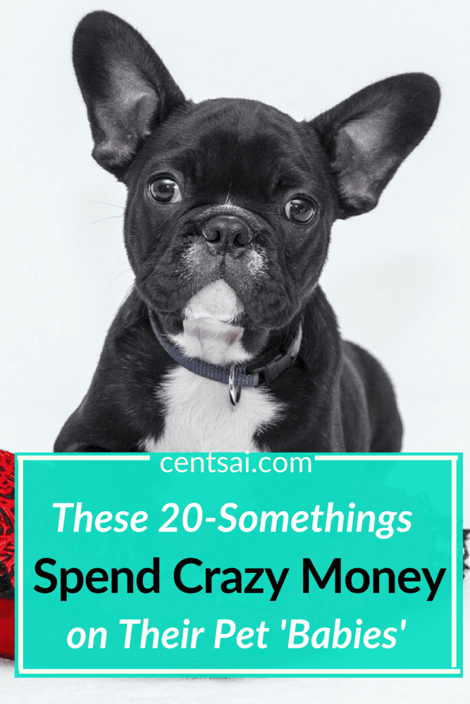 These 20-Somethings Spend Crazy Money on Their Pet'Babies'. Millennials are spending serious money on their fur babies, is it? Find out why... #crazymoneysavingtips #crazymoneysaving #spendcrazymoney #furbaby