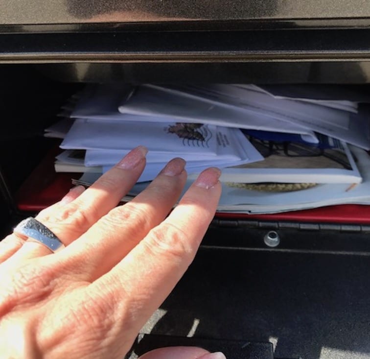 Taxes for the Self-Employed: What Is Schedule C and How Does It Work? | Photo of mail in a black mailbox | Photo by Rita Pouppirt