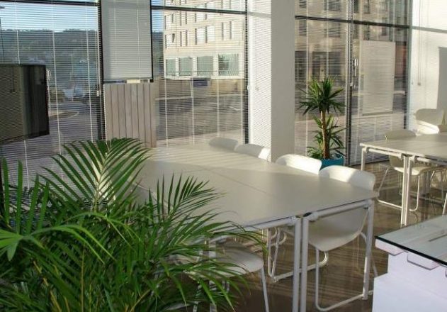 What’s the Best Coworking Space for You? 6 Sweet Spots